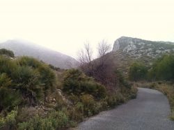 Fotografía: cam05202